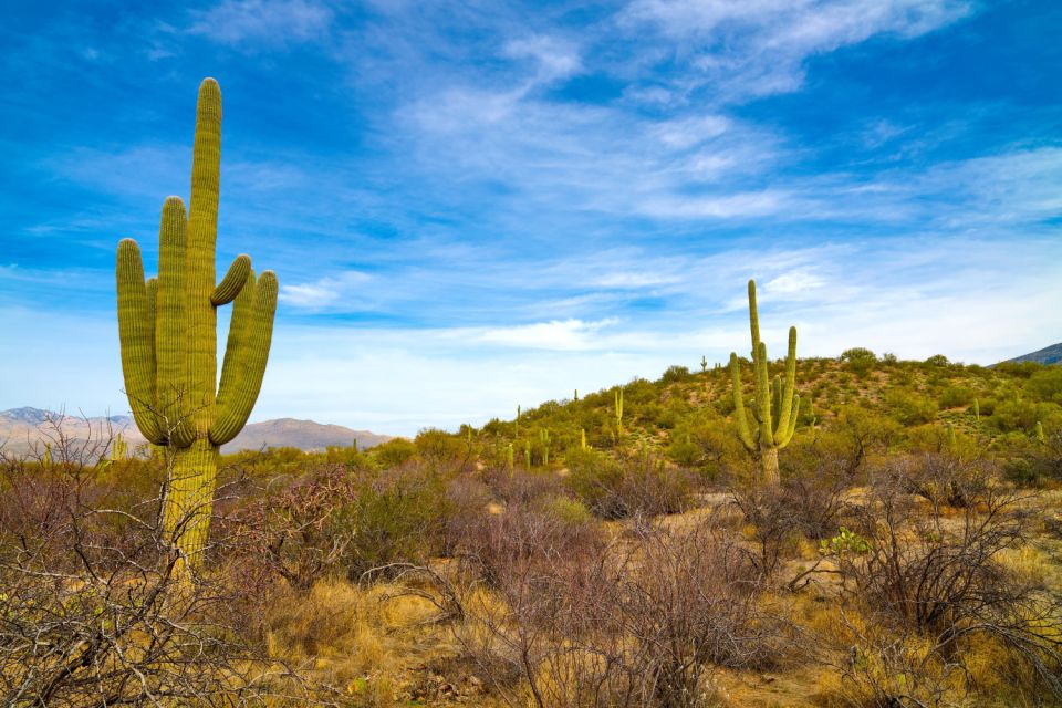 Saguaro National Park Self Guided Driving Audio Tour - Gritty Tales of History
