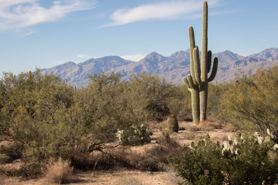 Saguaro National Park Self Guided Driving Audio Tour - Fascinating Ancient Tribal Culture