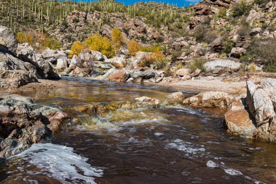 Saguaro National Park Self Guided Driving Audio Tour - Flexible Tour Experience