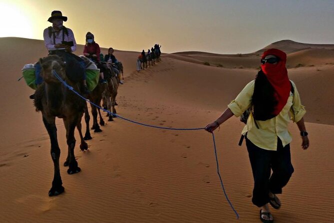 Sahara 3-Day 2-Night Desert Tour to Merzouga With Camel Trekking - Accessibility Features