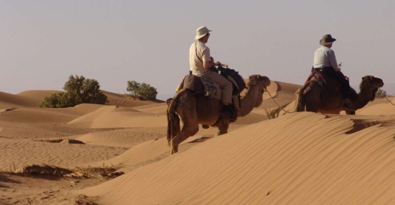 Sahara Desert 3 Days Shared Tours - Itinerary Highlights