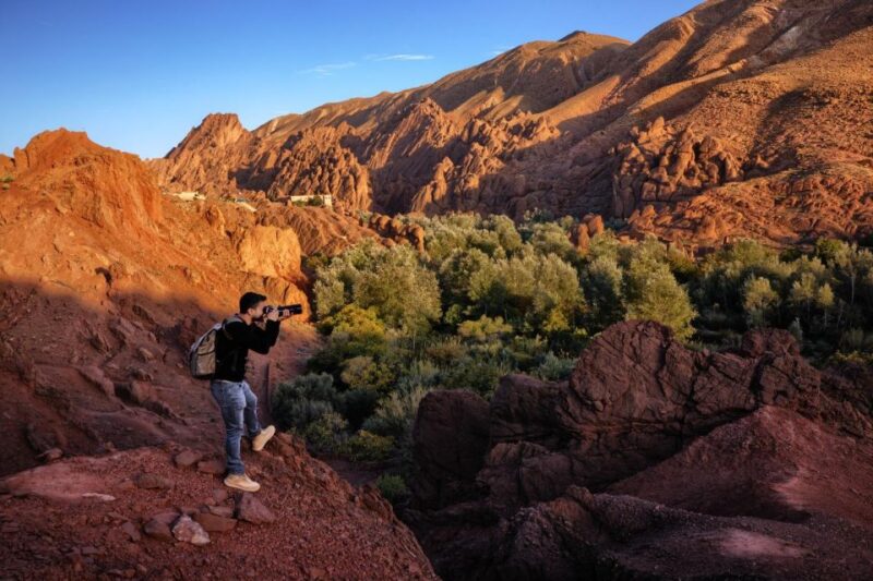 Sahara Desert 3 Days Shared Tours - Included Services