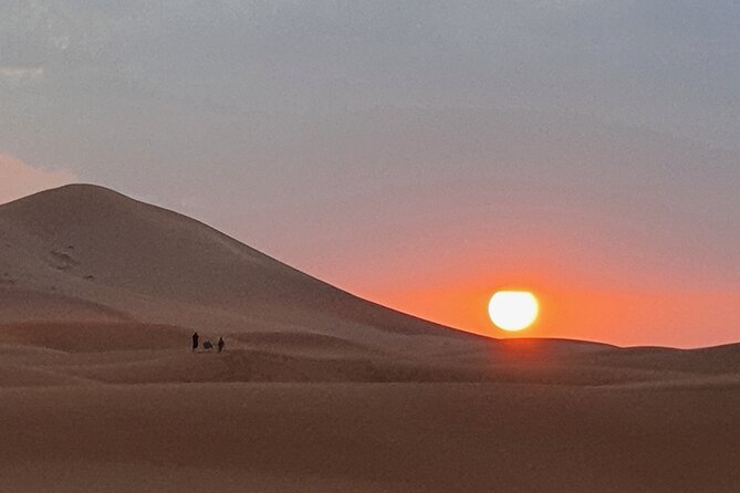 Sahara Desert Tour - 2 Days - Fez to Marrakech OR Return to Fez - Customer Feedback Highlights