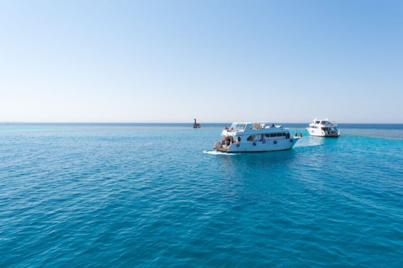 Sahl Hasheesh: Dolphin Watching Boat Tour With Snorkeling - Customer Reviews and Feedback