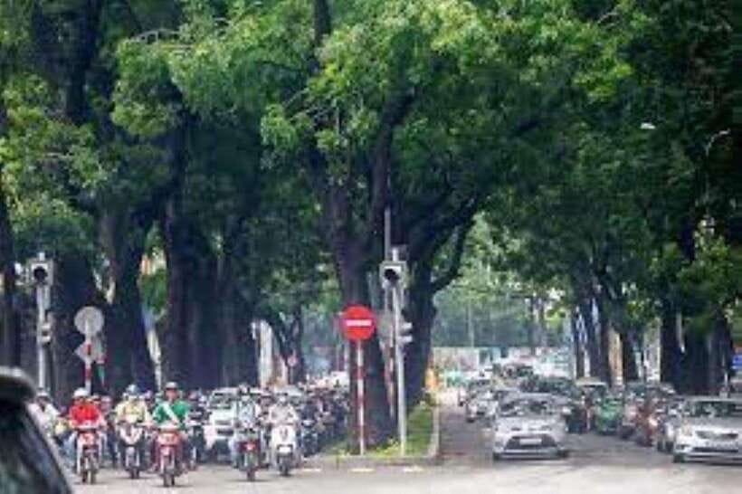 Saigon City Half Day Tour - Afternoon Option
