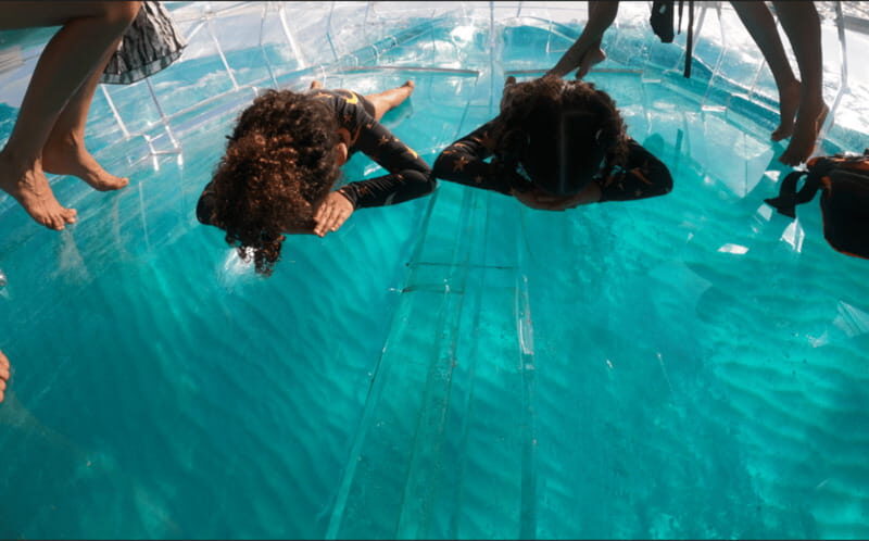 Sail around cancun in the best transparent boat + 2 drinks - Who Will Enjoy This Tour?