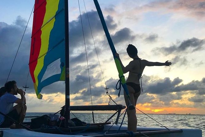 Sail Biscayne Bay: An Intimate Eco-Adventure - Wildlife Encounters in Biscayne Bay