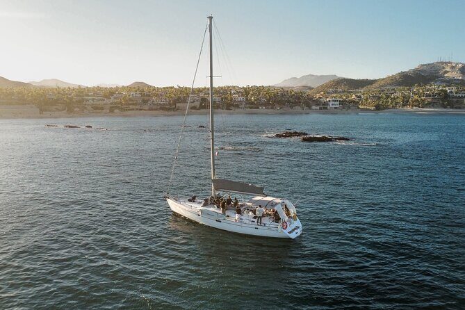 Sail in Style: Exclusive Whale watching Tour in Los Cabos - The Sum Up: Is This Tour Right for You?