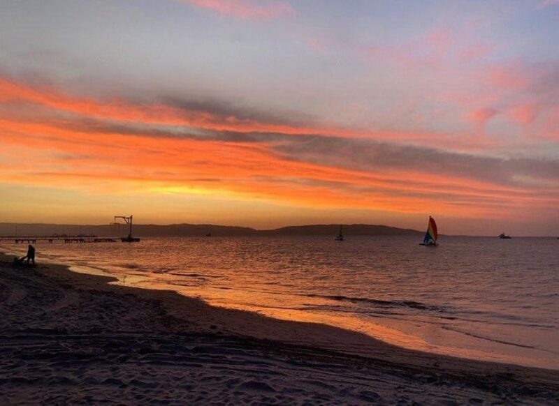 Sail on a Catamaran: Discover Paracas Bay - Experience Highlights