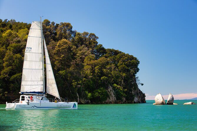 Sail, Seals, and Walk Tour in Abel Tasman - Key Points