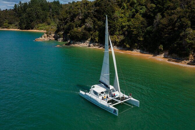 Sail, Seals, and Walk Tour in Abel Tasman - Who Will Love This Tour?