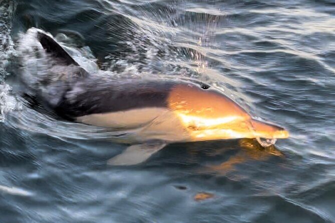 Sailboat Excursion along the Magnificent Tagus River - Why You’ll Love the Tagus Sailboat Tour