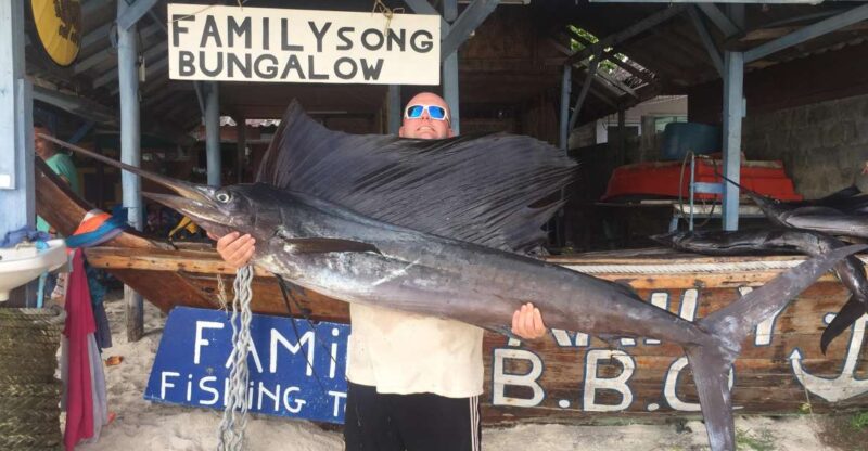 Sailfish Fishing Half Day. - Species Highlights