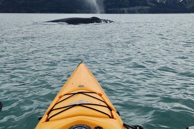 Sailing Alaska's Inside Passage 4 Day Private Tour - Who Should Consider This Tour?