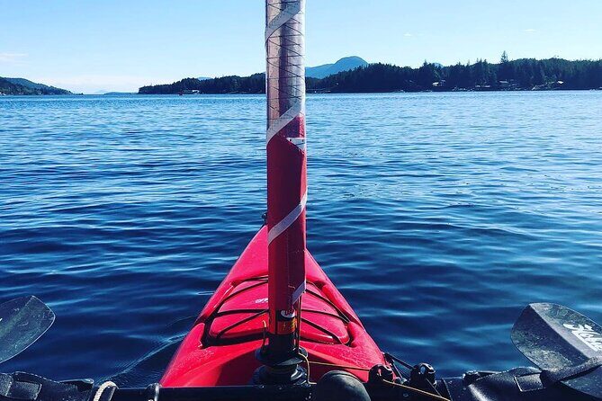 Sailing Alaska's Inside Passage 4 Day Private Tour - Frequently Asked Questions