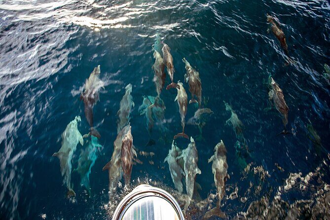 Sailing and Snorkeling to Norman Island and Caves - Setting Sail from Tortola