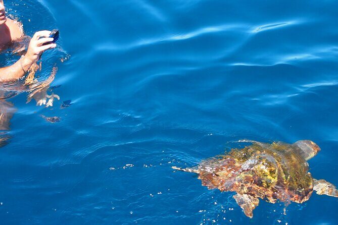 Sailing Boat-always private-always by sail-search for dolphins - Practical Tips for Booking