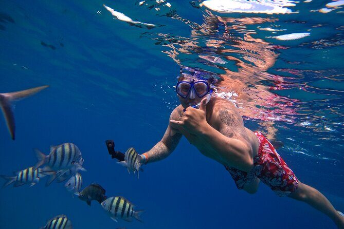 Sailing Catamaran Excursion - The Value Proposition