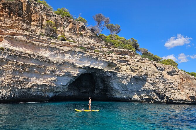 Sailing Day From Port D'andratx Review - Review Summary