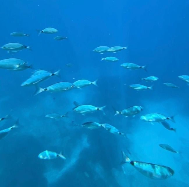 Sailing Excursion, Swimming Stops, Snorkeling and Prosecco - Swimming and Snorkeling at the Foot of Cliffs