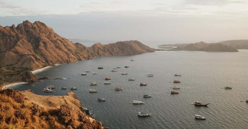 SAILING KOMODO OPEN TRIP 3 DAY 2 NIGHT - Booking Information