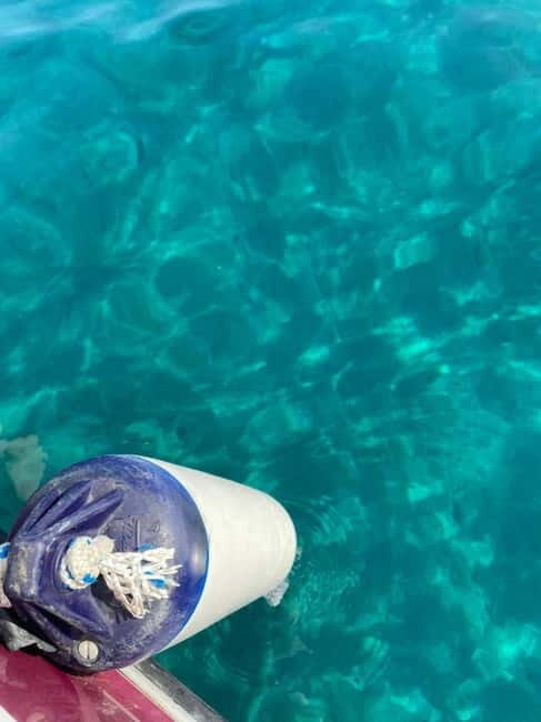 Sailing the Cilento coast: adventure, and serenity - An In-Depth Look at the Cilento Coast Boat Tour