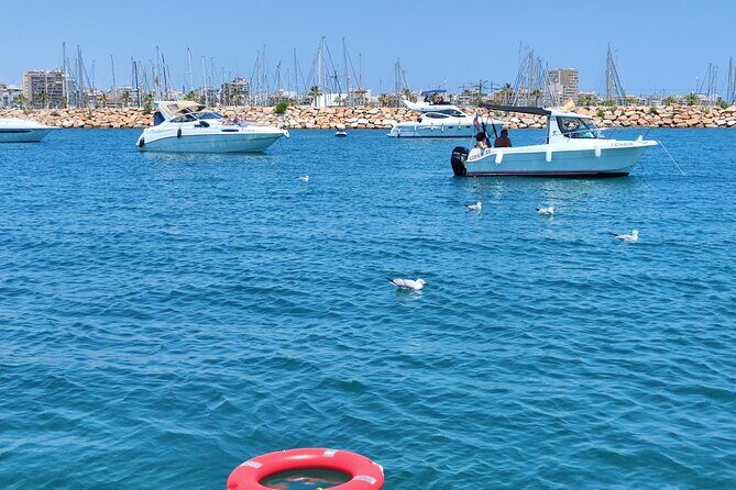 Sailing with sunset and swimming in the sea - Authentic Feedback from Travelers