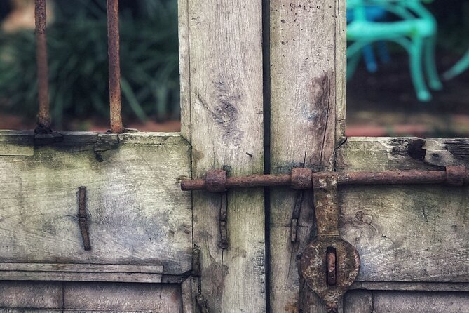 Saint Augustine Historic District Photo Tour - Participant Reviews and Feedback