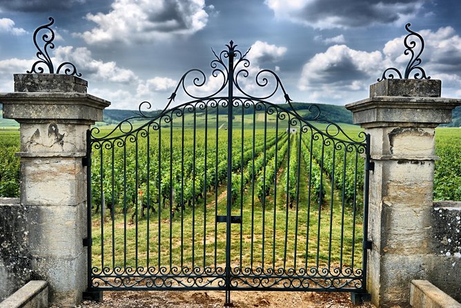 Saint Emilion Day Trip With Sightseeing Tour & Wine Tastings From Bordeaux - Wine Tasting Experiences