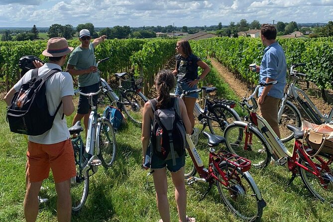 Saint-Emilion E-bike Wine Tour, 2 Wineries & Gourmet Picnic Lunch - Important Information