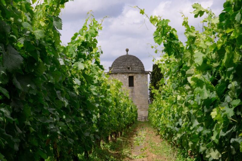 Saint-Emilion: Full-Day Tour With Tasting & Buffet Lunch - Key Points