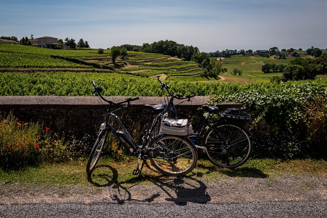 Saint Emilion Half Day Ebike and Wine Tour With Picnic. - Good To Know