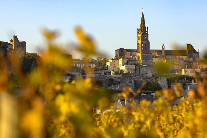 Saint Emilion Half-Day Trip With Wine Tasting & Winery Visit From Bordeaux - Tour Overview