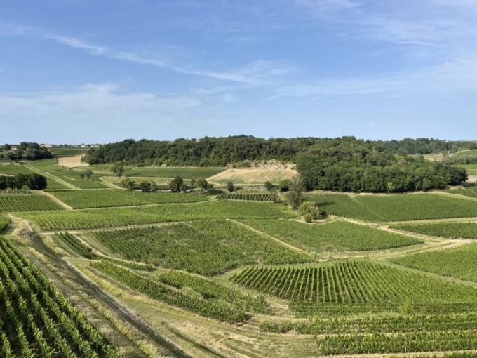 Saint-Emilion: Half-Day Wine Tour of Classified Estates - Frequently Asked Questions