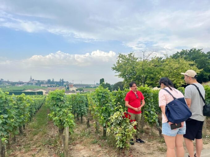 Saint-Émilion & Pomerol: Full Day Private Tour in a Classic Car - Discovering Pomerols Vineyards