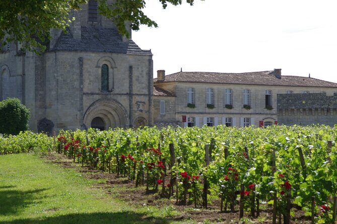 Saint-Emilion Private Full Day Wine Tour from Bordeaux - Who Will Love This Tour?