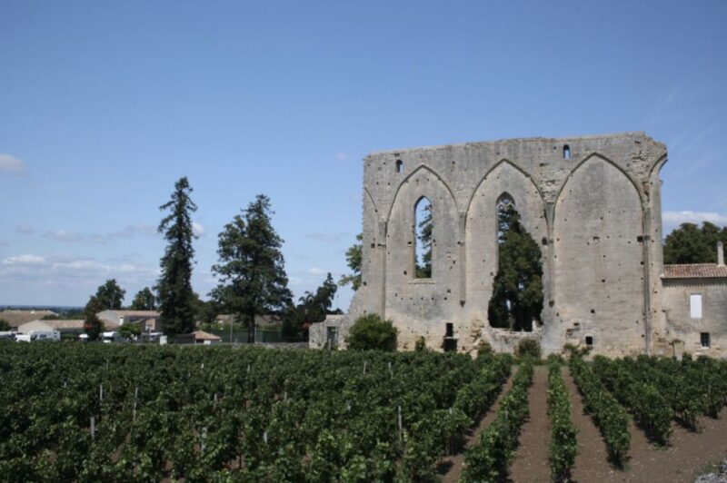 Saint-Émilion: Private Walking Tour & Magnificent Views - Palace of the Archbishops