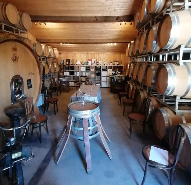 Saint-Emilion: Tasting of 4 Wines in a Family Vineyard - Key Points