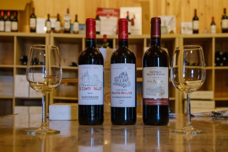 Saint-Emilion: Tasting of 4 Wines in a Family Vineyard - Wines Featured in the Tasting