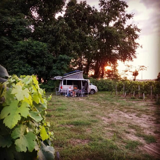 Saint-Emilion: Tasting of 4 Wines in a Family Vineyard - Inclusions in the Wine Tasting