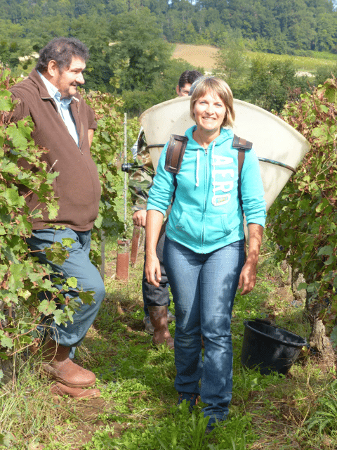 Saint-Emilion: Tasting of 4 Wines in a Family Vineyard - Location and Accessibility