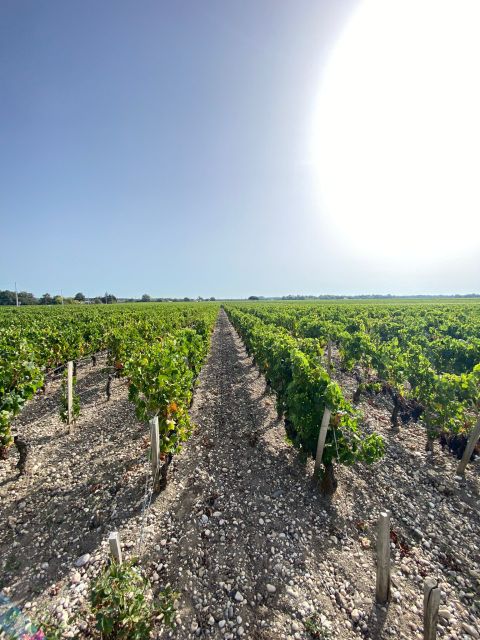 Saint Emilion Village Visiting Chateaux & Wine Tasting - Key Points