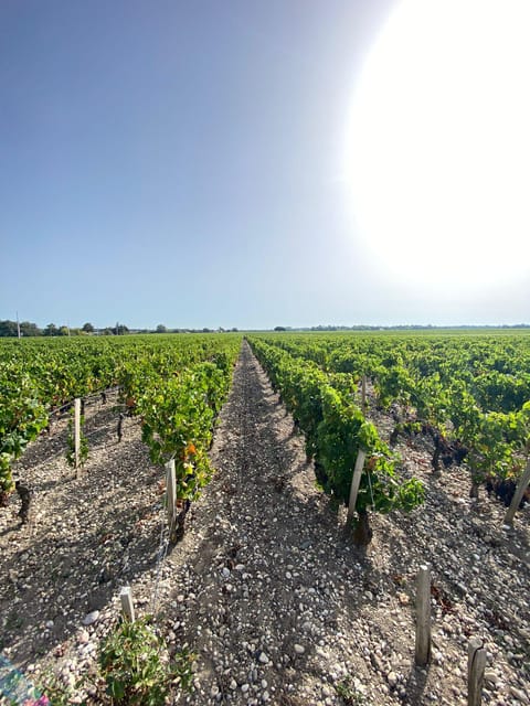 Saint Emilion Village Visiting Chateaux & Wine Tasting - Exploration of Medieval Village and Local Architecture