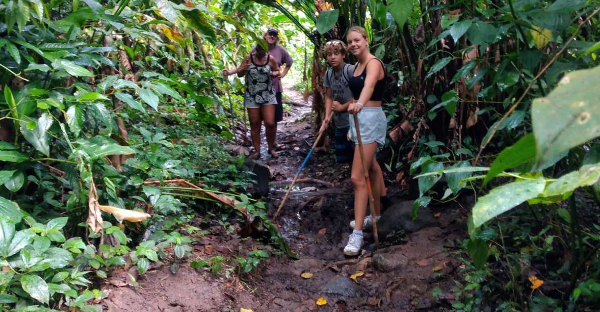 Saint Georges: 4.5-Hour Agro-Tourism Hike - Rainforest Hike