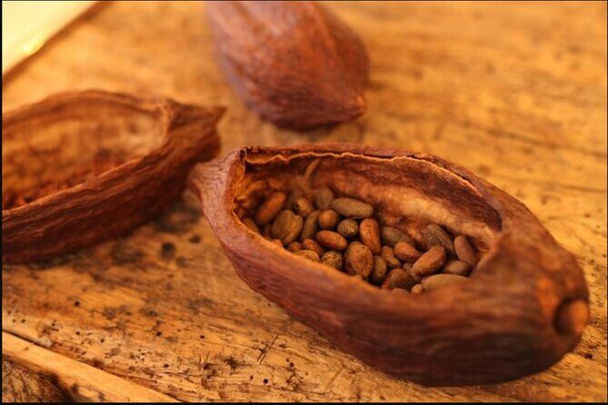 Saint-Germain The Original Chocolate Tasting Tour with Pastries and Macaron - An In-Depth Look at the Chocolate Tasting Experience