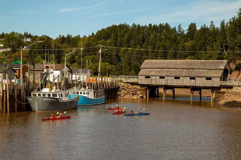 Saint John: Guided Kayaking Tour of St. Martins Sea Caves - The Guides and Equipment