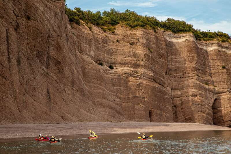 Saint John: Guided Kayaking Tour of St. Martins Sea Caves - Who Would Love This Tour?