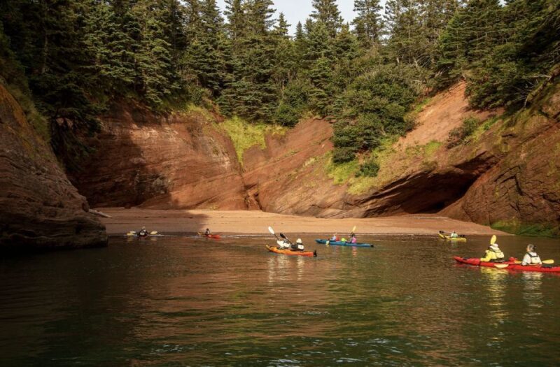 Saint John: Guided Kayaking Tour of St. Martins Sea Caves - The Sum Up