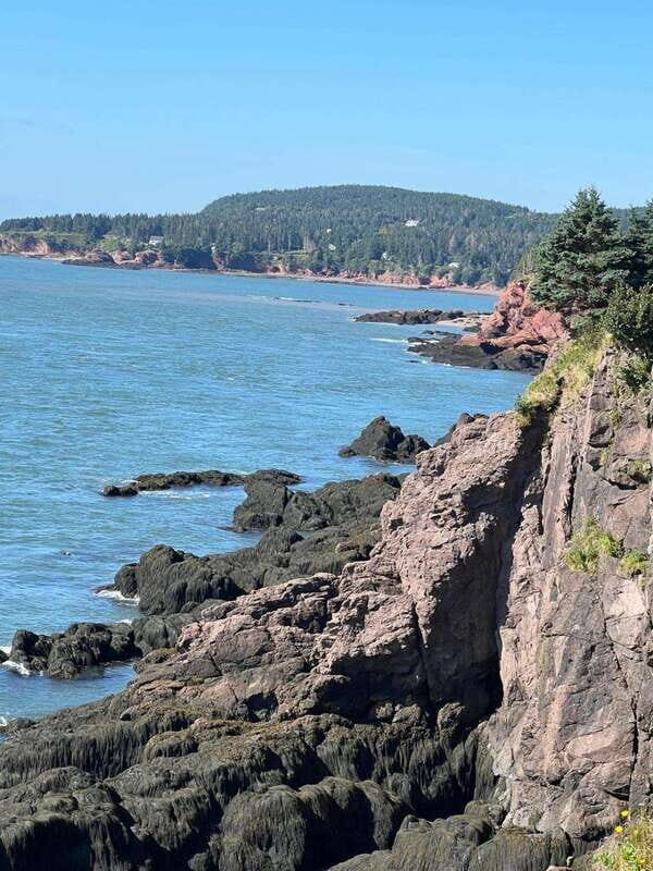 Saint John: Highlights and Sea Caves Tour - Who Would Love This Tour?