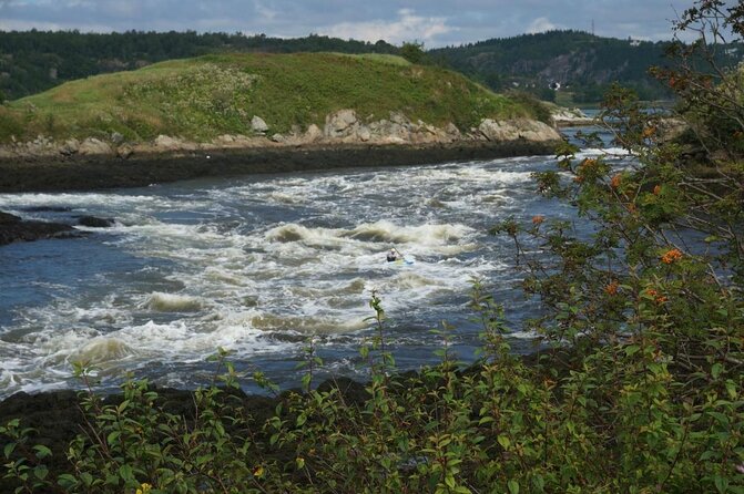 Saint John Highlights & History Cycling Tour - Good To Know